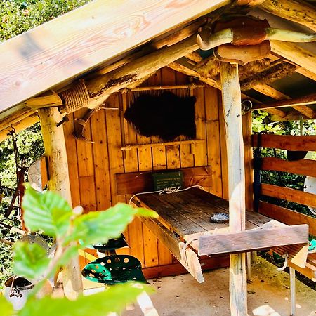 La Cabane Perchee Du Trappeur Écrainville Buitenkant foto
