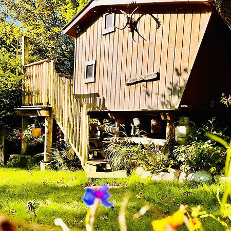 La Cabane Perchee Du Trappeur Écrainville Buitenkant foto