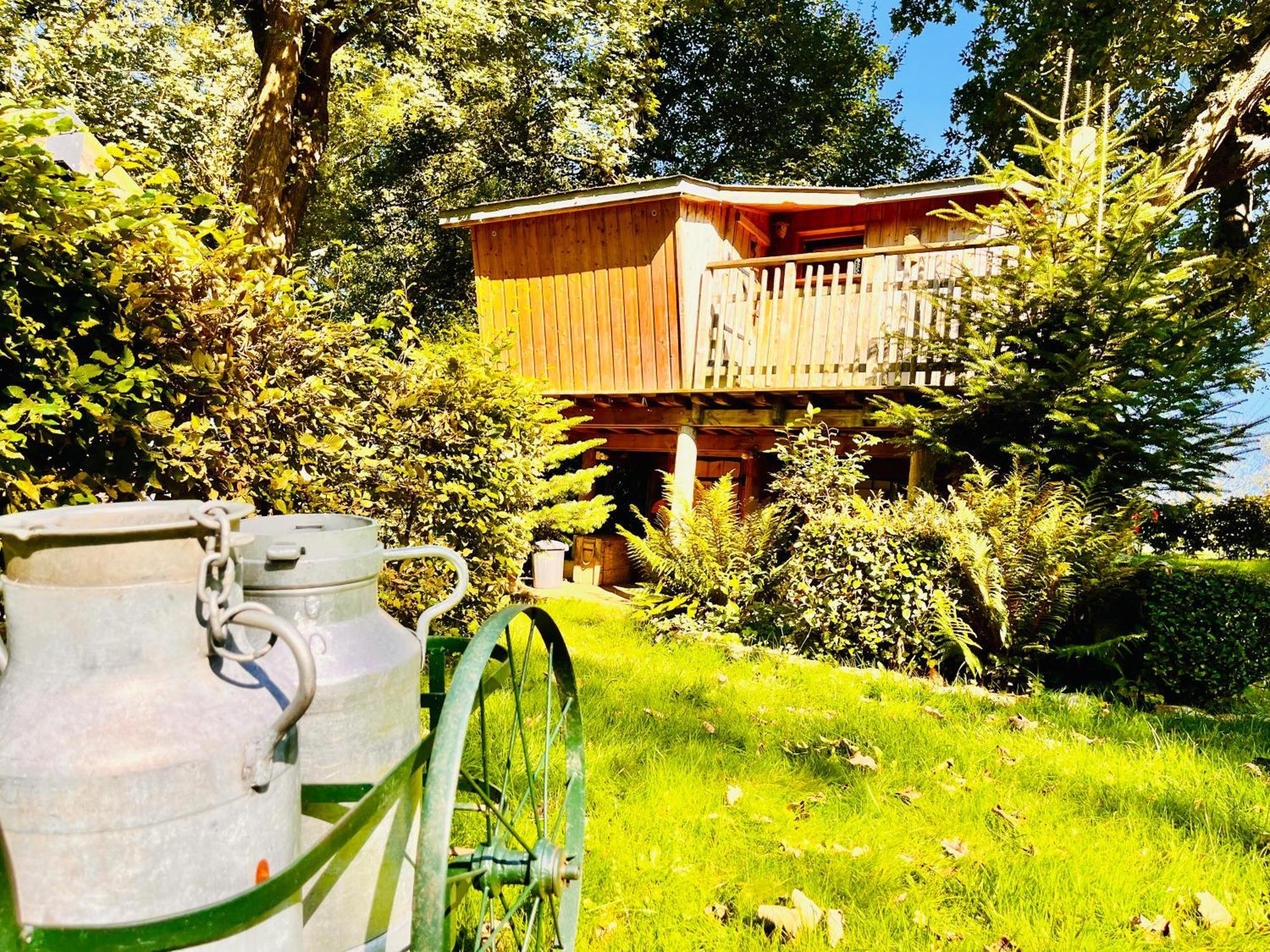 La Cabane Perchee Du Trappeur Écrainville Buitenkant foto