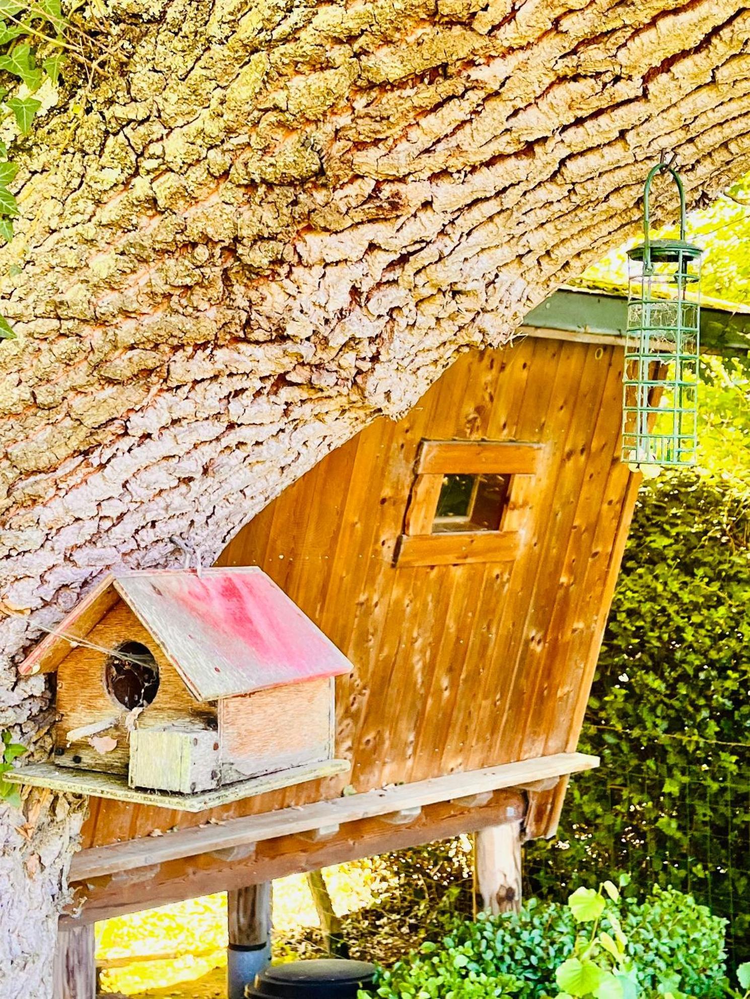 La Cabane Perchee Du Trappeur Écrainville Buitenkant foto